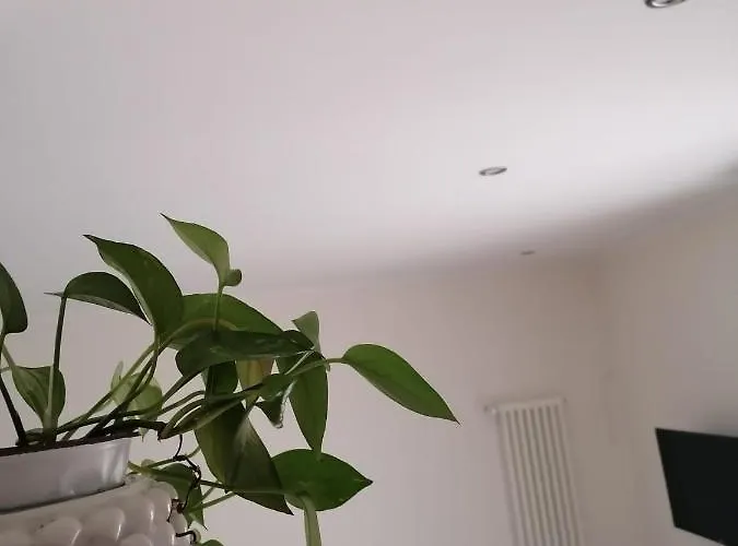 Le Due Pigne - דירה