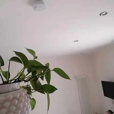 Le Due Pigne - Apartment